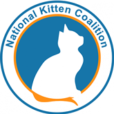 national-kitten-coalition