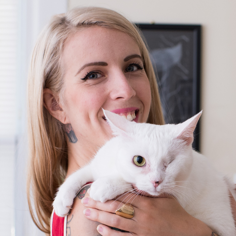 Interview! Part 1 - Hannah Shaw, “The Kitten Lady” - The Community Cats