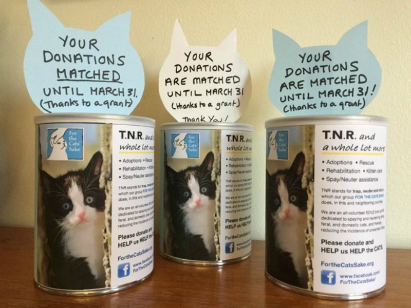 Community Cats Grants Equals More Money to Spay it Forward