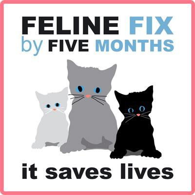 Feline Fix by Five and Why This Would Make a Huge Difference