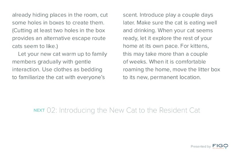 How to Introduce Cats to New Environments
