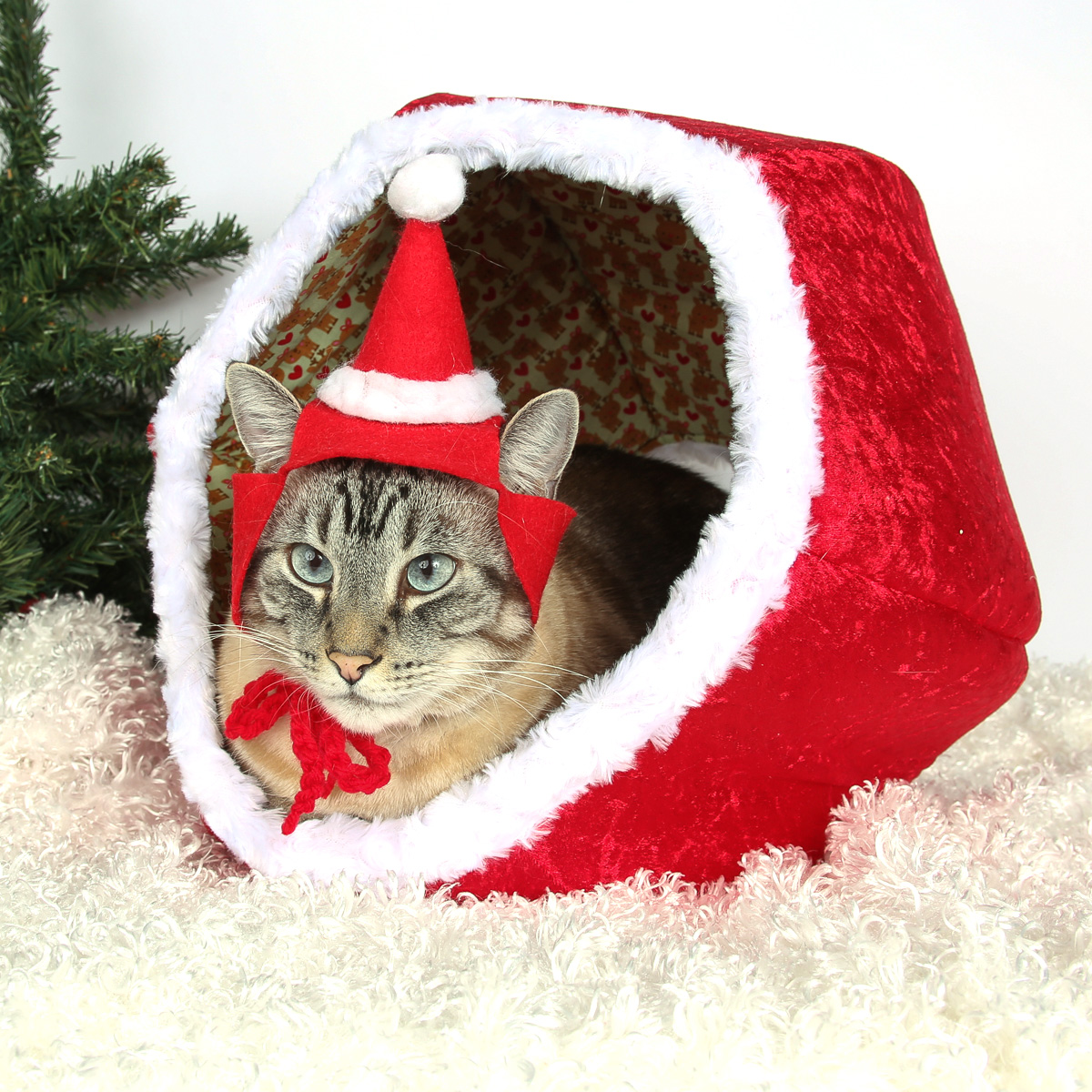 Best Holiday Gifts For Cats