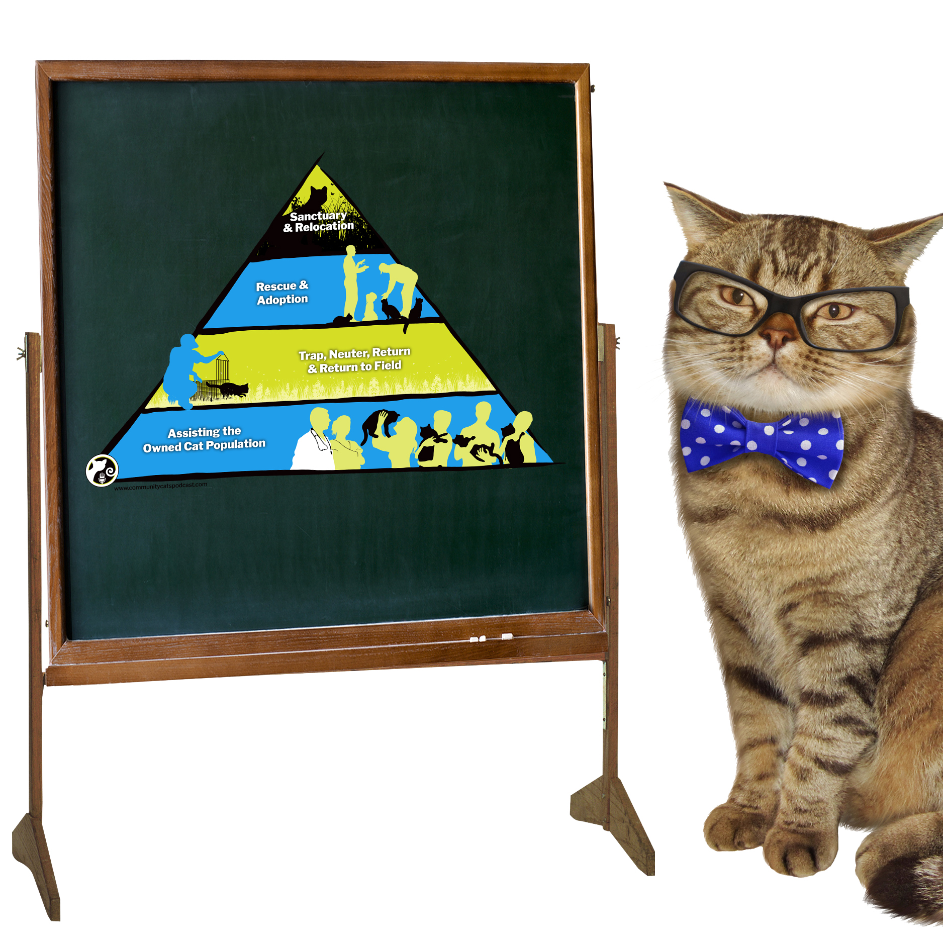 Introducing The Community Cat Pyramid