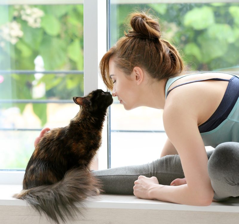 Athletic Woman Practicing Yoga with an Affectionate Cat