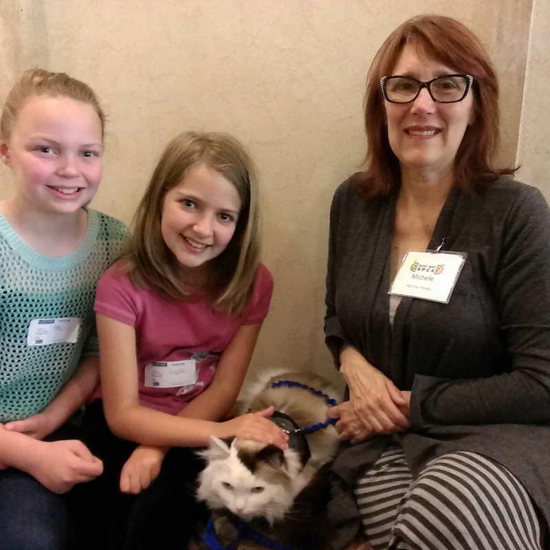 Interview Michele Tilford Cat Assisted Therapy Advocate The