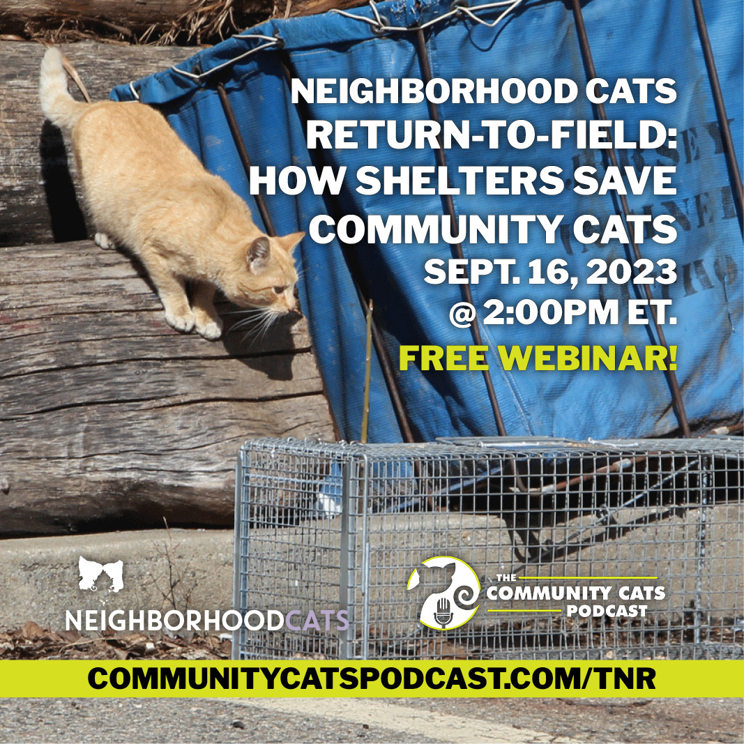 Free Webinar Return To Field How Shelters Save Community Cats