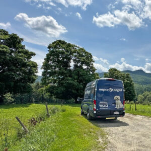 MSPCA van parked on a dirt driveway in a rural area with green grass, summer trees, and a bright blue sky