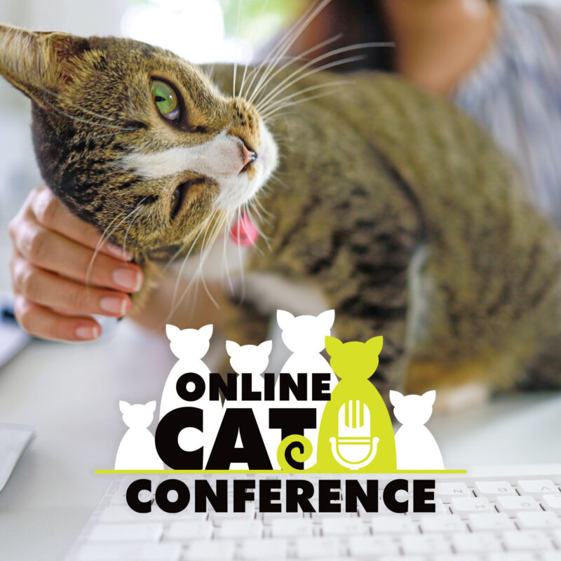 2025 Online Cat Conference Recordings